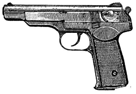 Рис. 1. Общин вид 9-мм автоматического пистолета Стечкина
