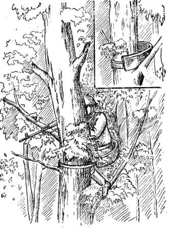 Рис. 48. Снайперская позиция на дереве с использованием переносного приспособления