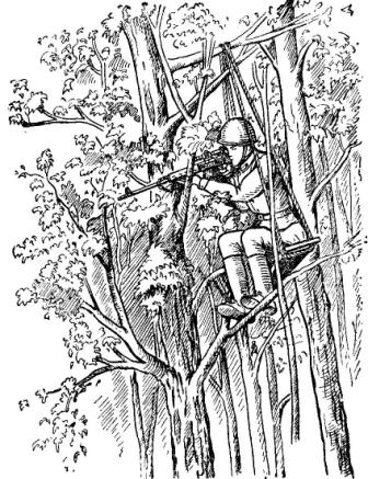 Рис. 49. Снайперская позиция на дереве  с использованием приспособления типа «качели»