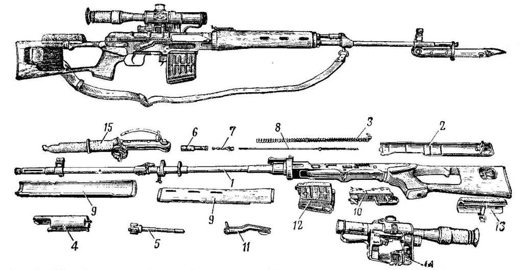 Рис. 1. Общий вид снайперской винтовки Драгунова. Основные части и механизмы снайперской винтовки:
